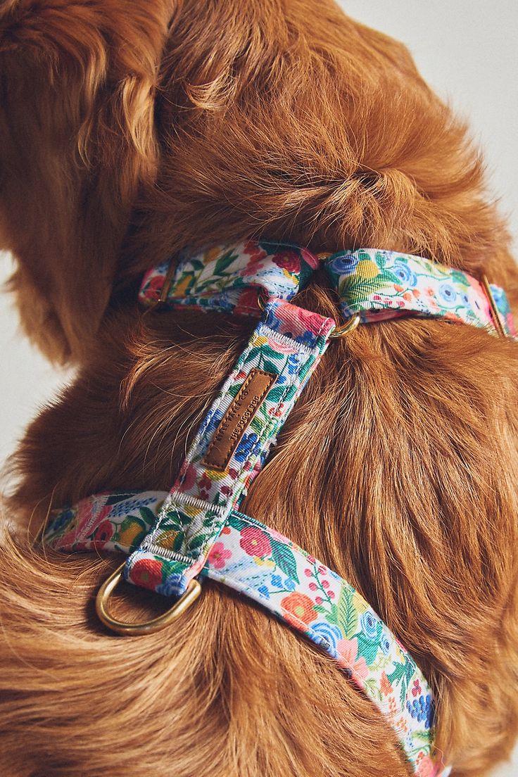 Comfort Harness