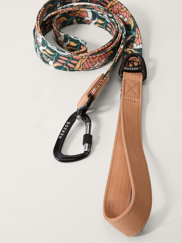 Adventure Leash
